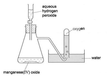 Question diagram