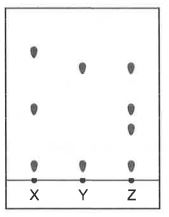 Question diagram
