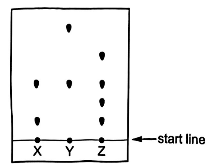 Question diagram