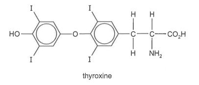 Question diagram