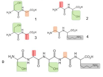 Worked solution diagram